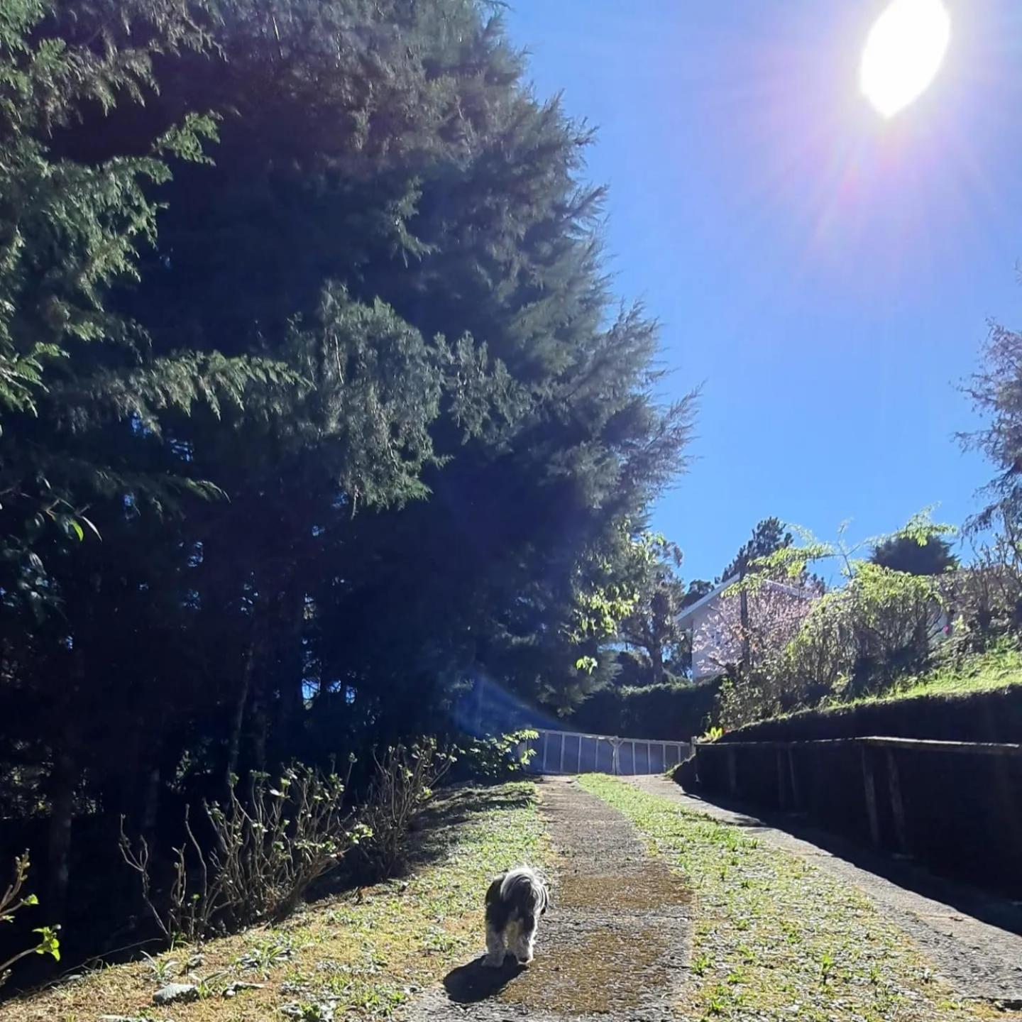 Valle Do Sol Guest house Campos do Jordao